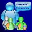 msn